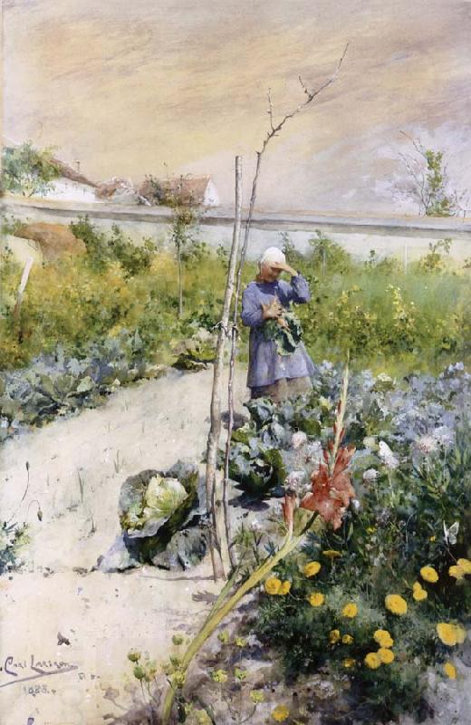 Carl Larsson IN Kokstradgarden China oil painting art
